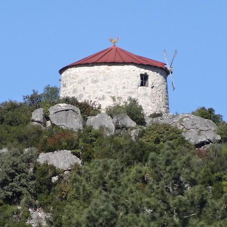 Casa Da Riguerinha Bed & Breakfast Монсанту Екстериор снимка