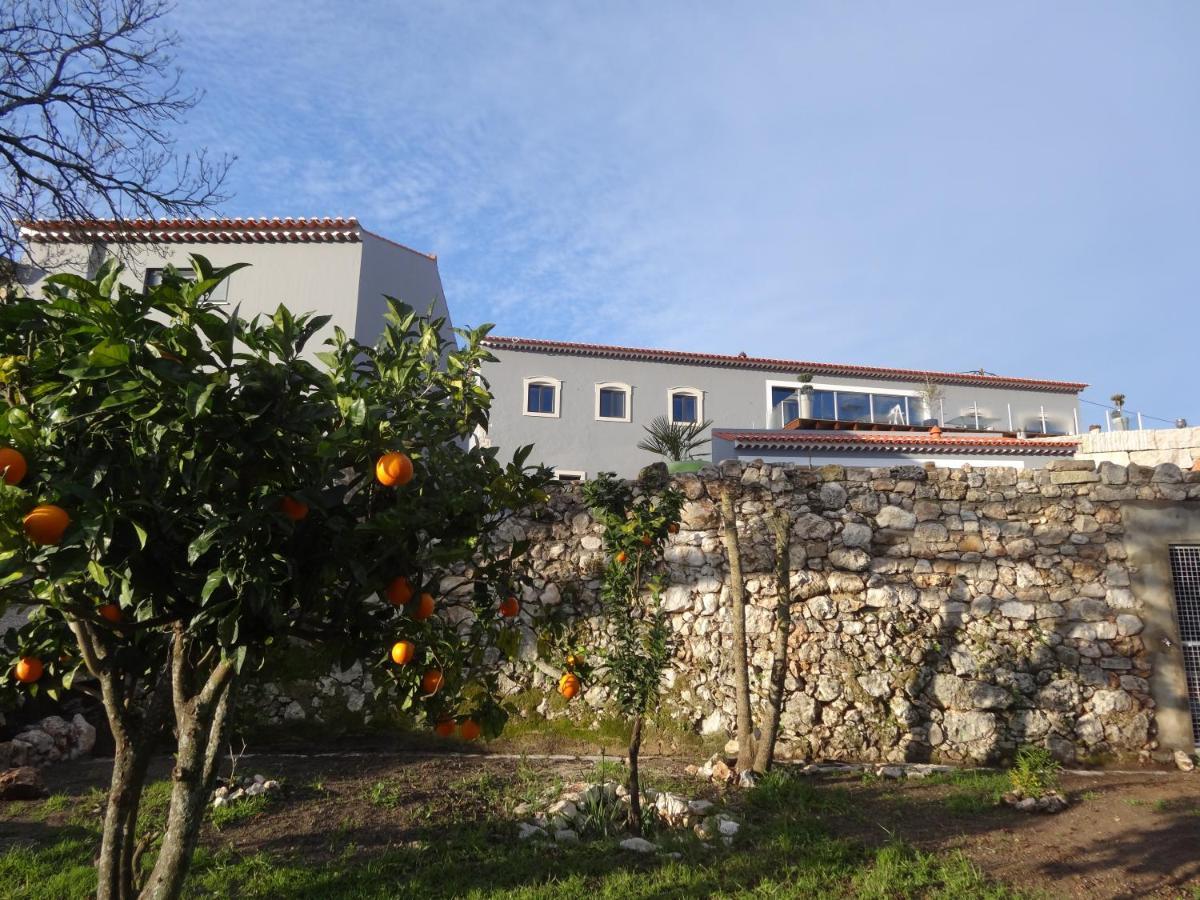 Casa Da Riguerinha Bed & Breakfast Монсанту Екстериор снимка